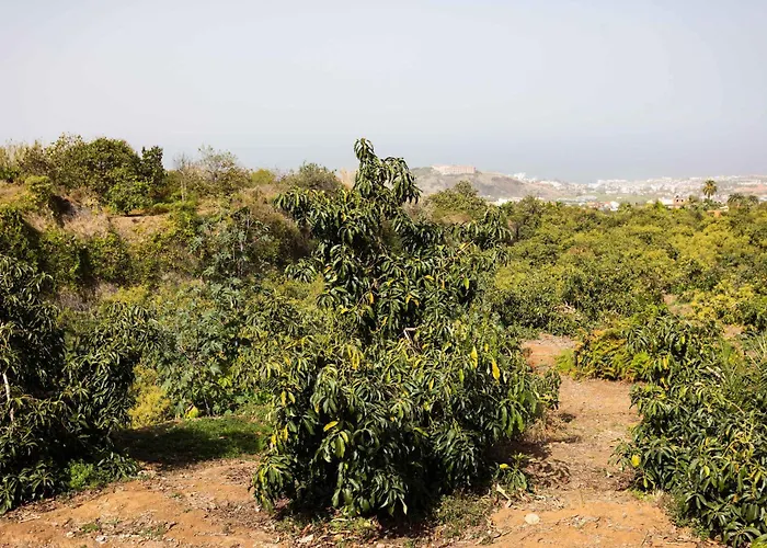 Дом отдыха Ranas 1 *